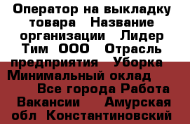 Оператор на выкладку товара › Название организации ­ Лидер Тим, ООО › Отрасль предприятия ­ Уборка › Минимальный оклад ­ 28 000 - Все города Работа » Вакансии   . Амурская обл.,Константиновский р-н